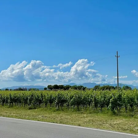 Apartman Casa Michele - Alle Ninfee - By Tourquoisevea